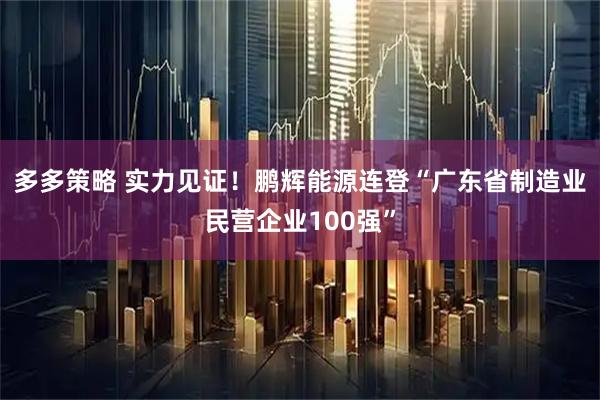多多策略 实力见证!鹏辉能源连登“广东省制造业民营企业100强”