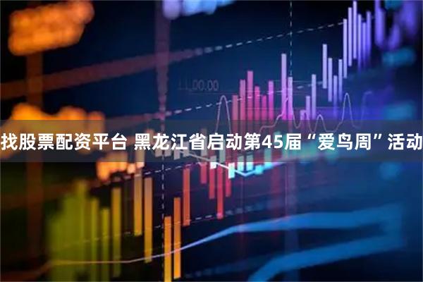 找股票配资平台 黑龙江省启动第45届“爱鸟周”活动