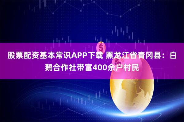 股票配资基本常识APP下载 黑龙江省青冈县：白鹅合作社带富400余户村民